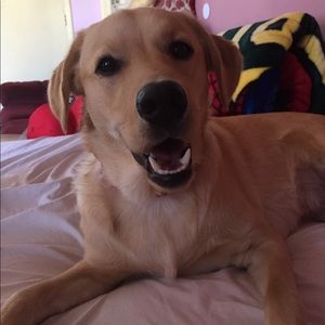 Meet your Posher, Apolonia